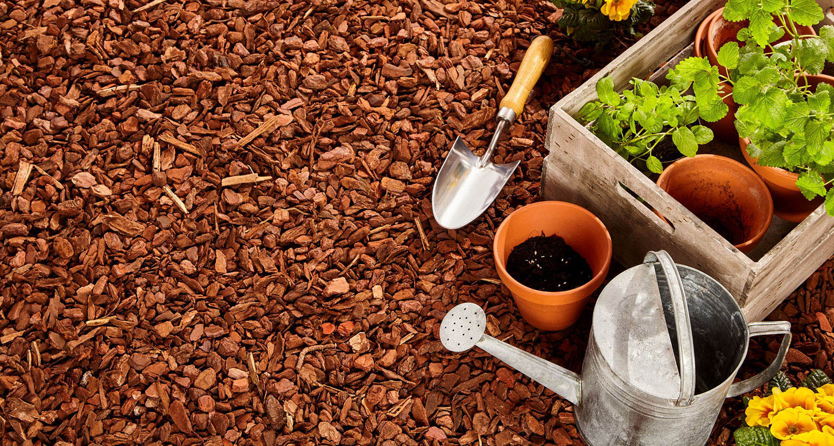 Перепревший конский навоз (или гумус) является ценным органическим удобрением для сада и огорода. Его можно применять как основное удобрение для всего участка или для определенных растений