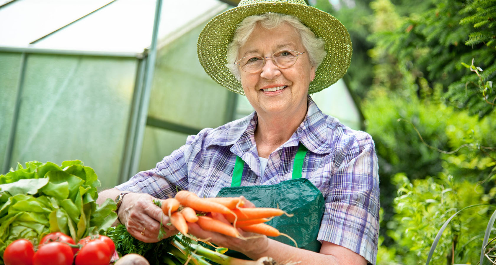 Почему выбирают наш перепревший конский навоз